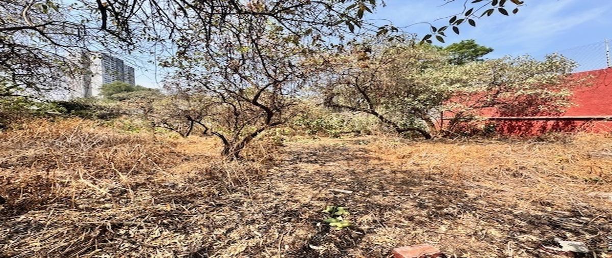 Foto de terreno habitacional en , jardines del pedregal, álvaro obregón, df / cdmx, 30185026 foto 08 Foto de terreno habitacional en venta en , jardines del pedregal, álvaro obregón, df / cdmx, 30185026 No. 08