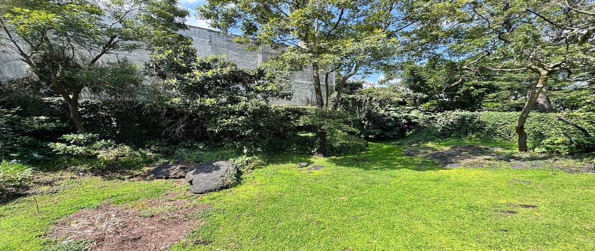 Foto de casa en , jardines del pedregal, álvaro obregón, df / cdmx, 30883013 foto 04 Foto de casa en venta en , jardines del pedregal, álvaro obregón, df / cdmx, 30883013 No. 04