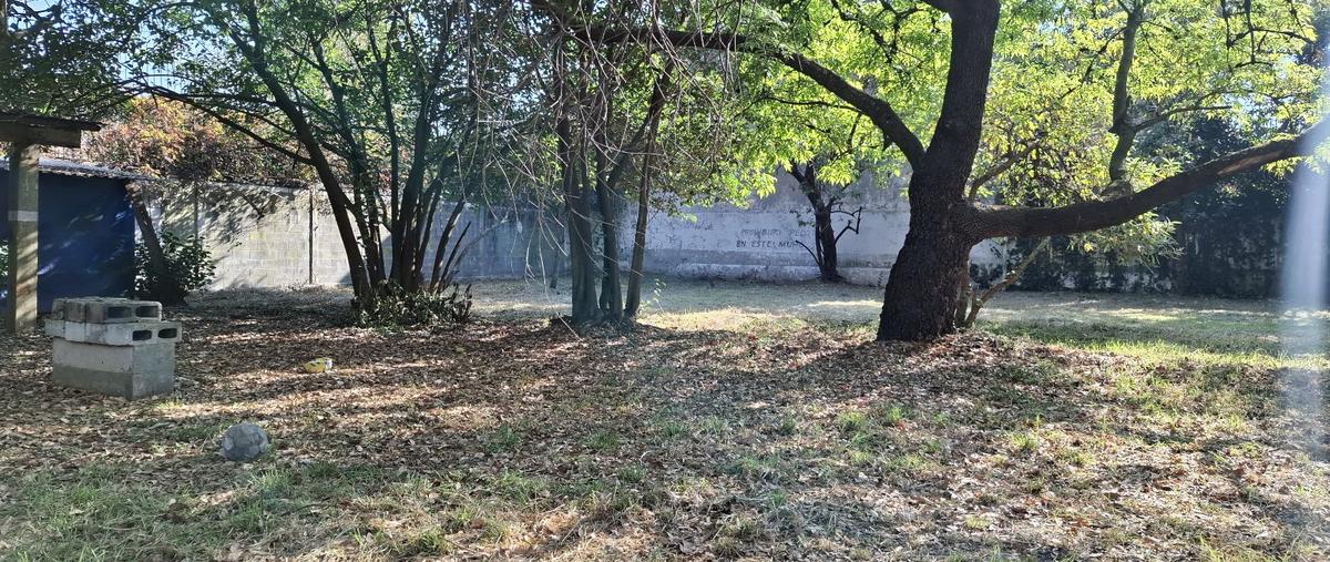 Foto de terreno habitacional en venta en  , jardines del pedregal, álvaro obregón, df / cdmx, 0 No. 03