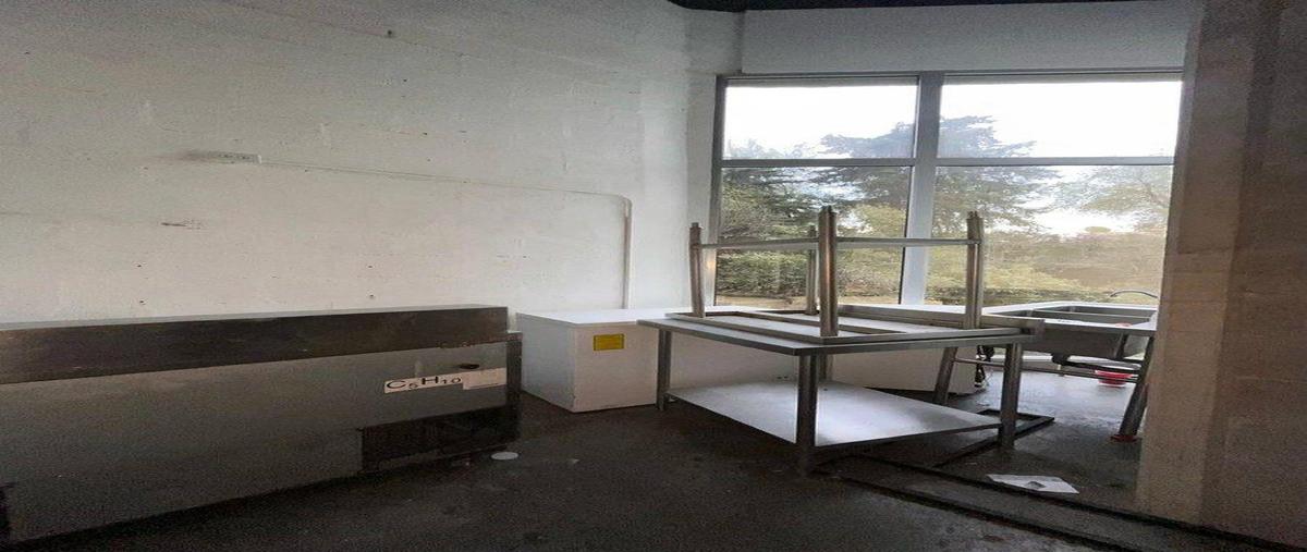 Foto de local en renta en  , jardines del pedregal, álvaro obregón, df / cdmx, 0 No. 04