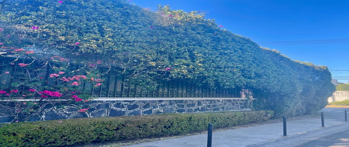 Foto de casa en renta en  , jardines del pedregal, álvaro obregón, df / cdmx, 0 No. 03