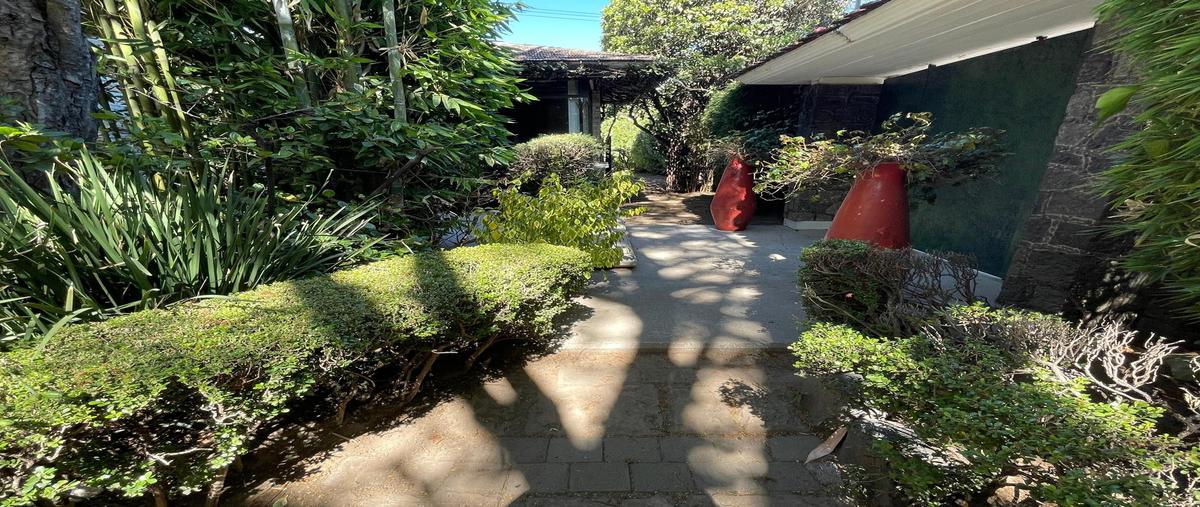 Foto de casa en renta en  , jardines del pedregal, álvaro obregón, df / cdmx, 0 No. 05