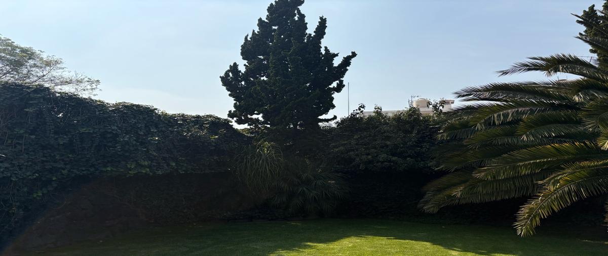 Foto de casa en renta en  , jardines del pedregal, álvaro obregón, df / cdmx, 0 No. 05
