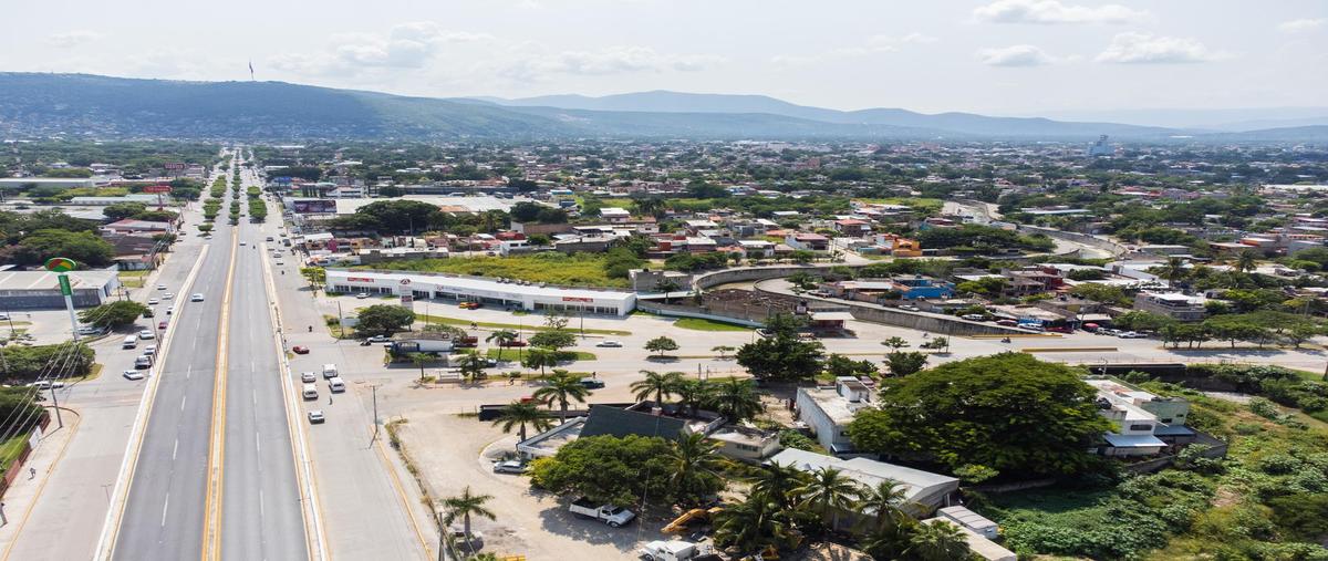 Foto de local en renta en  , jardines del valle, iguala de la independencia, guerrero, 26668215 No. 03