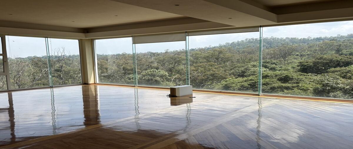 Foto de departamento en renta en  , jardines en la montaña, tlalpan, df / cdmx, 29525742 No. 04