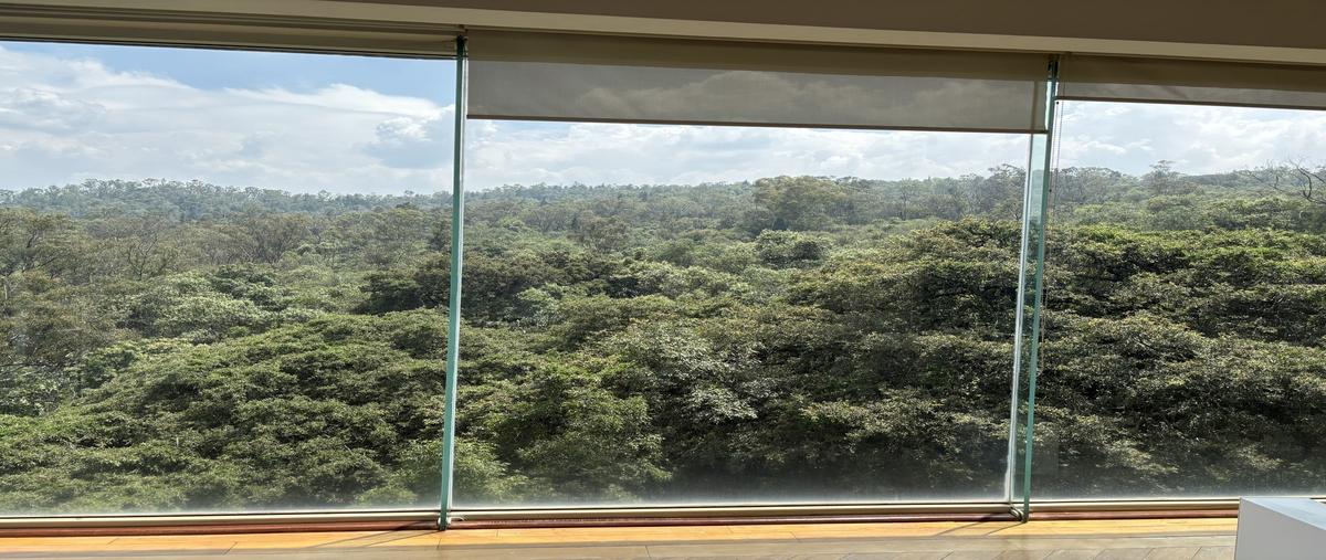 Foto de departamento en renta en  , jardines en la montaña, tlalpan, df / cdmx, 29525742 No. 05