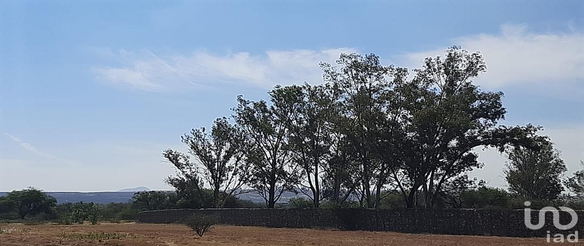 Foto de terreno habitacional en venta en jaripitio 309, aldama, irapuato, guanajuato, 28723752 No. 03