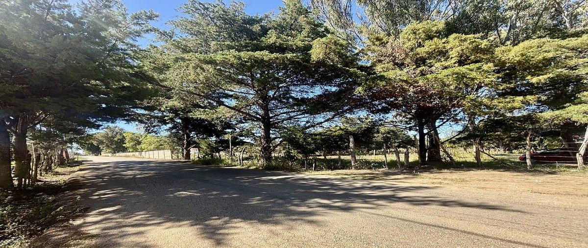 Foto de terreno habitacional en venta en jatón , santa cecilia, comitán de domínguez, chiapas, 0 No. 03