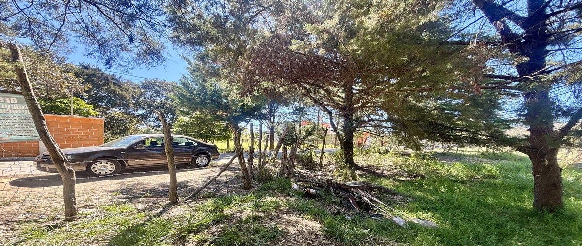 Foto de terreno habitacional en venta en jatón , santa cecilia, comitán de domínguez, chiapas, 0 No. 04