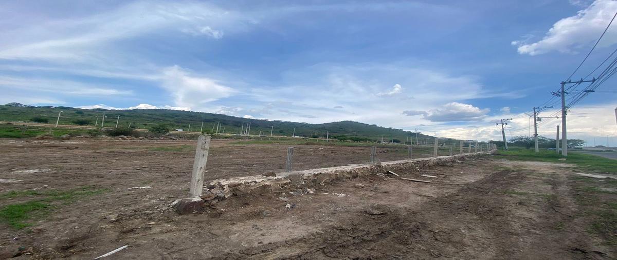 Foto de terreno comercial en renta en  , jauja, tonalá, jalisco, 21348431 No. 04