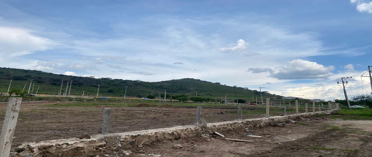 Foto de terreno comercial en renta en  , jauja, tonalá, jalisco, 21348431 No. 05
