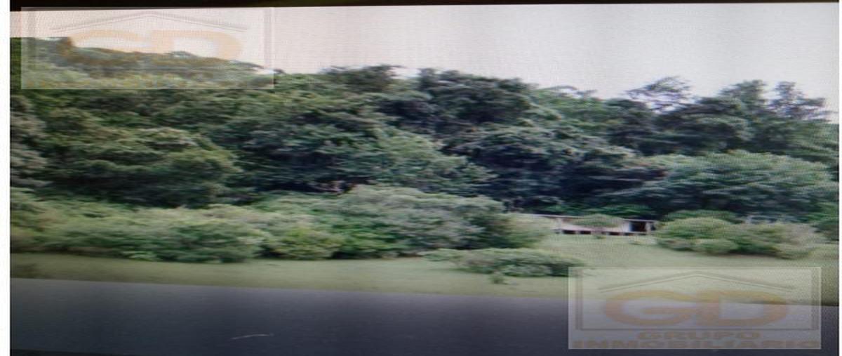 Foto de terreno habitacional en , jaumave centro, jaumave, tamaulipas, 18494516 foto 03 Foto de terreno habitacional en venta en , jaumave centro, jaumave, tamaulipas, 18494516 No. 03