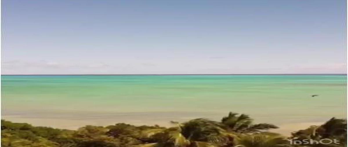 Foto de terreno habitacional en venta en  , javier rojo gómez (punta allen), tulum, quintana roo, 0 No. 01