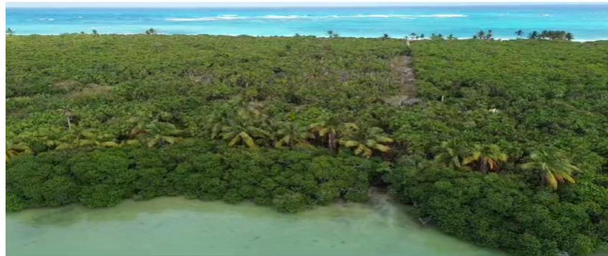 Foto de terreno habitacional en venta en  , javier rojo gómez (punta allen), tulum, quintana roo, 0 No. 01