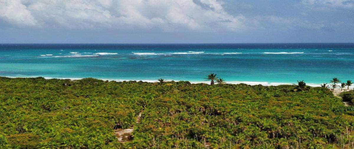 Foto de terreno habitacional en venta en  , javier rojo gómez (punta allen), tulum, quintana roo, 0 No. 02