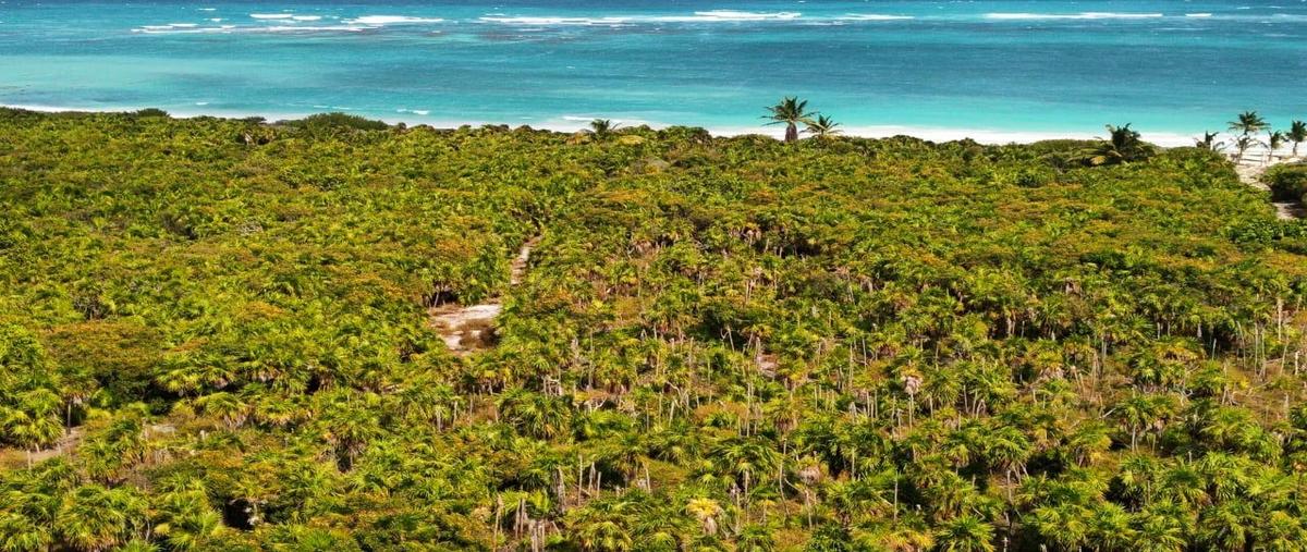 Foto de terreno habitacional en venta en  , javier rojo gómez (punta allen), tulum, quintana roo, 0 No. 03
