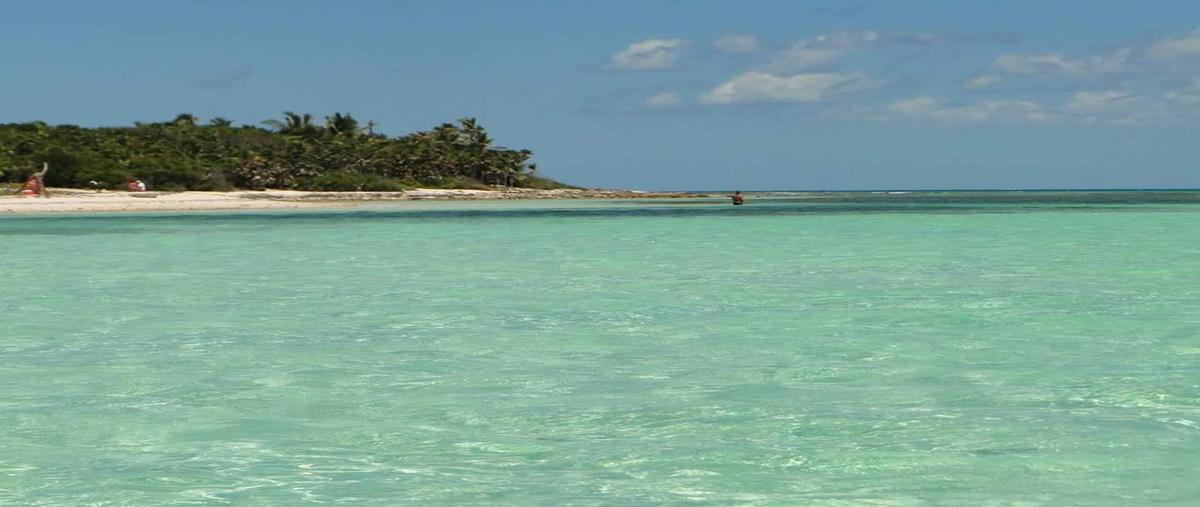 Foto de terreno habitacional en , javier rojo gómez (punta allen), tulum, quintana roo, 0 foto 02 Foto de terreno habitacional en venta en , javier rojo gómez (punta allen), tulum, quintana roo, 0 No. 02