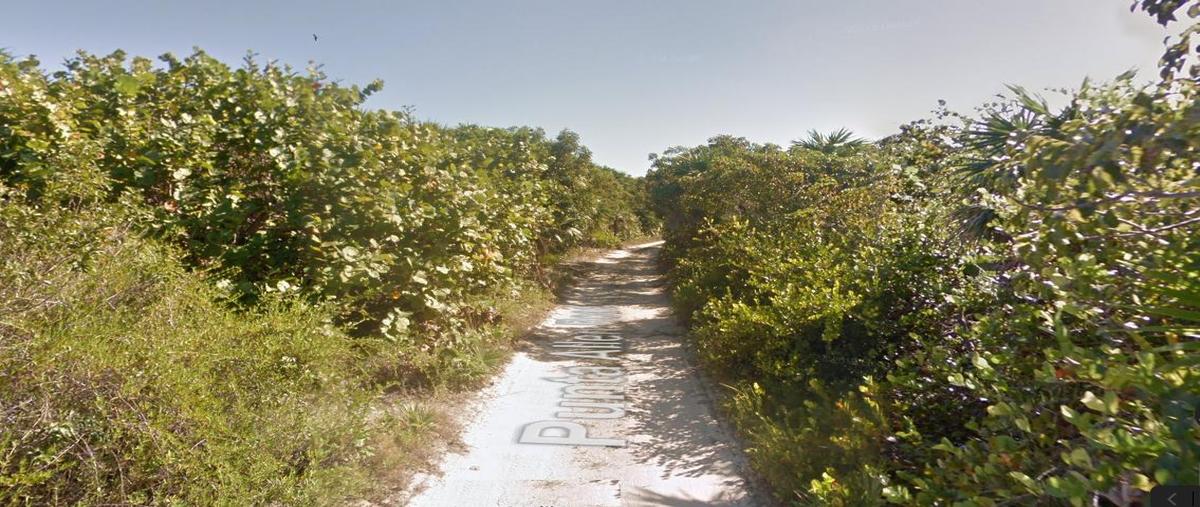 Foto de terreno habitacional en , javier rojo gómez (punta allen), tulum, quintana roo, 0 foto 03 Foto de terreno habitacional en venta en , javier rojo gómez (punta allen), tulum, quintana roo, 0 No. 03