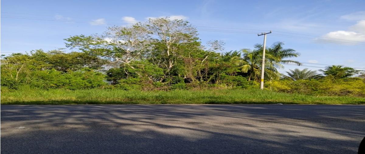 Foto de terreno habitacional en , javier sandoval, bacalar, quintana roo, 25655301 foto 04 Foto de terreno habitacional en venta en , javier sandoval, bacalar, quintana roo, 25655301 No. 04