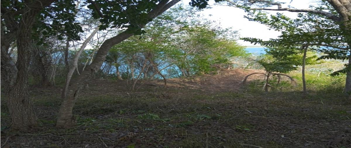 Foto de terreno habitacional en , javier sandoval, bacalar, quintana roo, 25655301 foto 05 Foto de terreno habitacional en venta en , javier sandoval, bacalar, quintana roo, 25655301 No. 05