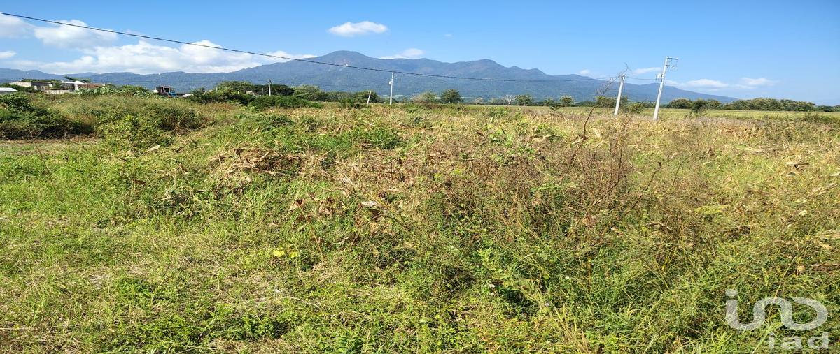 Foto de terreno habitacional en jazmin 171, san juan de abajo, bahía de banderas, nayarit, 30553744 foto 03 Foto de terreno habitacional en venta en jazmin 171, san juan de abajo, bahía de banderas, nayarit, 30553744 No. 03