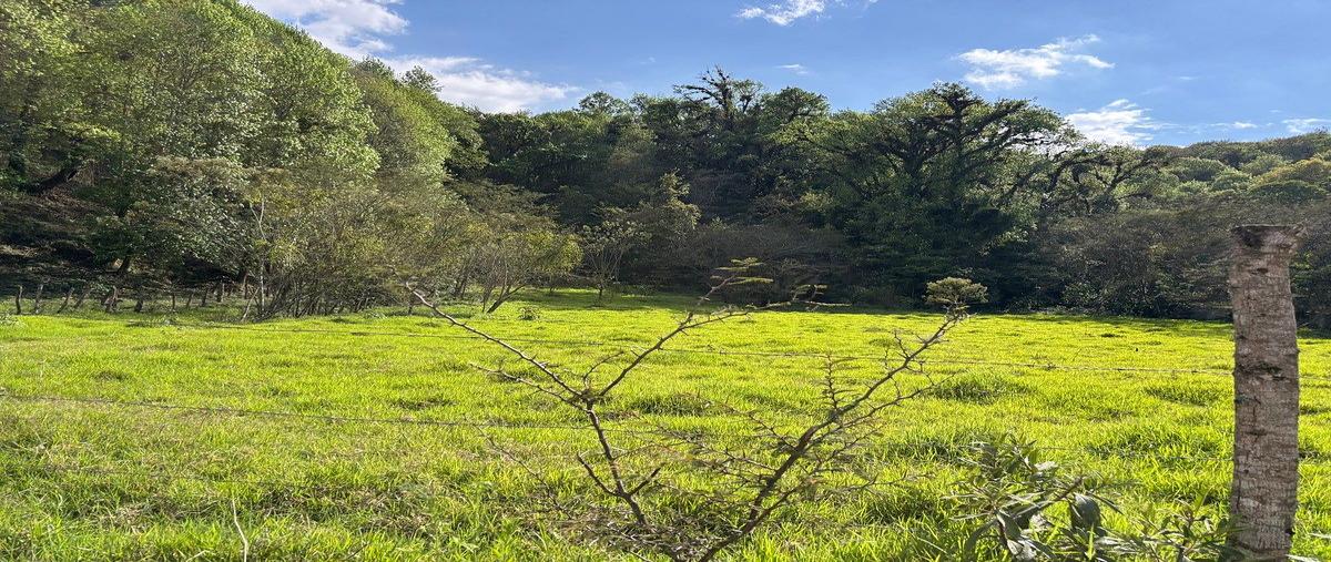 Foto de terreno habitacional en venta en jazmin , briones, coatepec, veracruz de ignacio de la llave, 0 No. 03