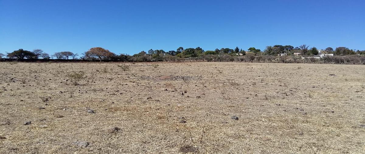 Foto de terreno habitacional en venta en  , jerécuaro centro, jerécuaro, guanajuato, 0 No. 03