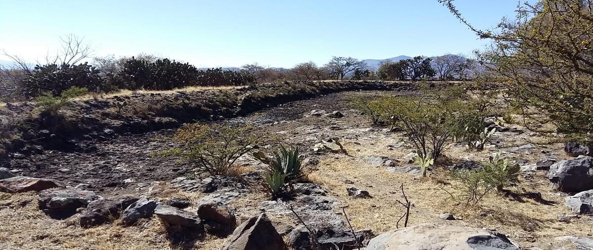 Foto de terreno habitacional en venta en  , jerécuaro centro, jerécuaro, guanajuato, 0 No. 04