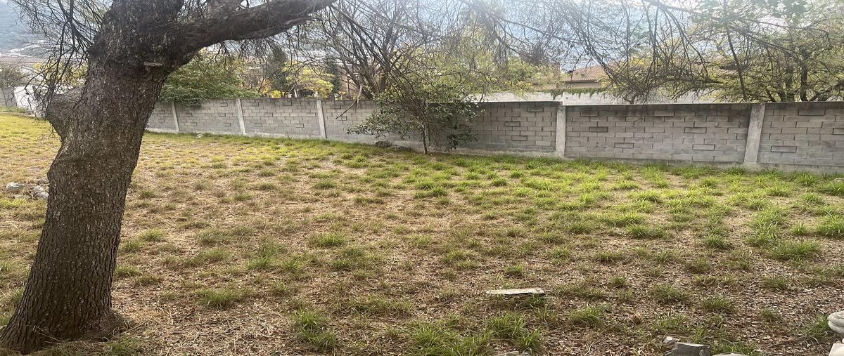 Foto de terreno habitacional en venta en  , jerónimo siller, san pedro garza garcía, nuevo león, 30824034 No. 03