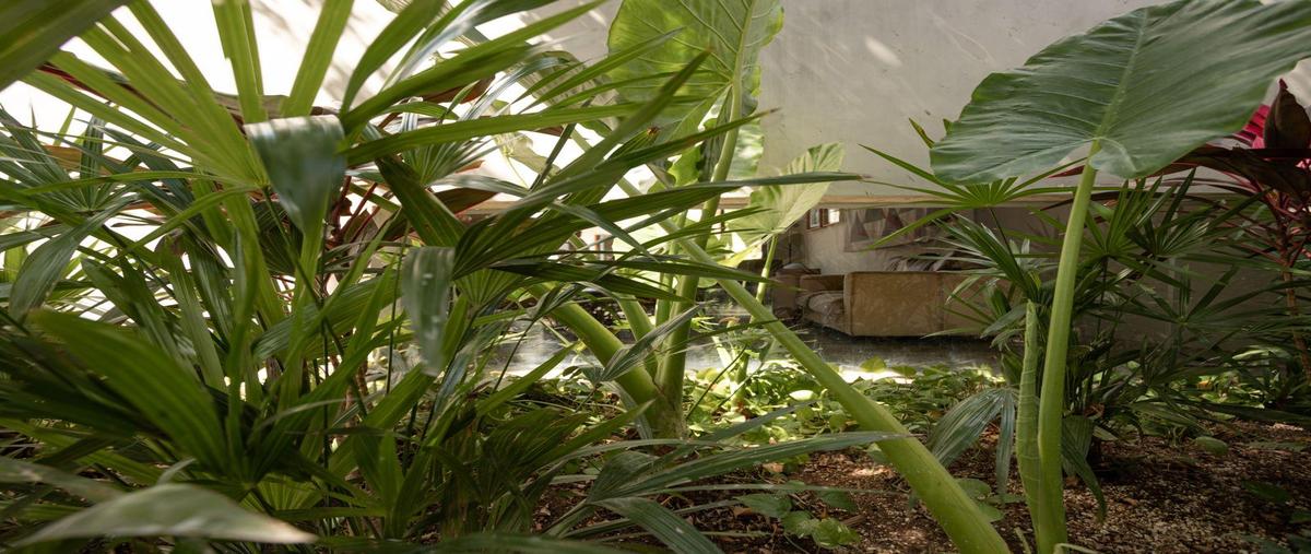 Foto de casa en venta en  , jesús carranza, mérida, yucatán, 31426920 No. 03