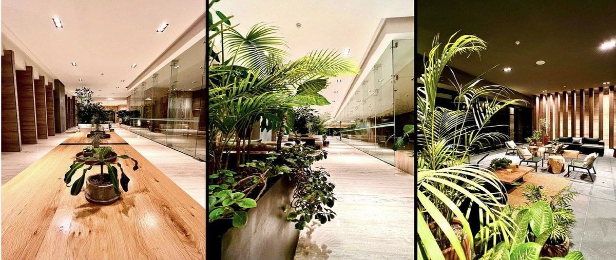 Foto de departamento en venta en jesús del monte , interlomas, huixquilucan, méxico, 30906506 No. 03