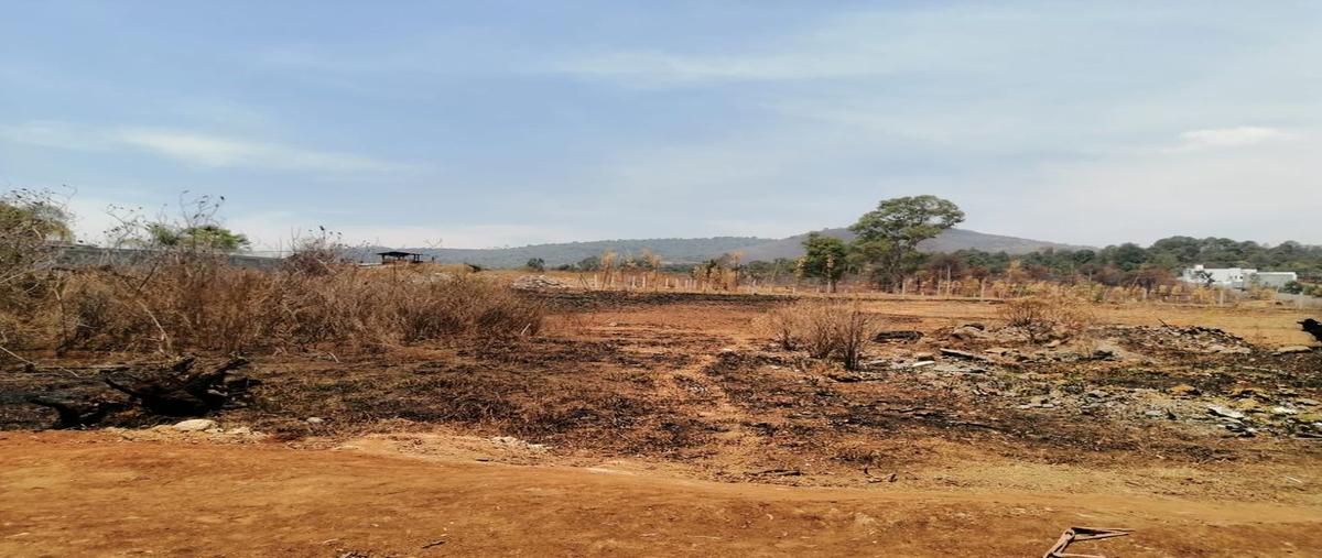 Foto de terreno habitacional en venta en jesús del monte , jesús del monte, morelia, michoacán de ocampo, 20961257 No. 05