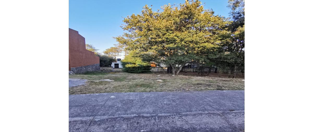 Foto de terreno habitacional en venta en  , jesús del monte, morelia, michoacán de ocampo, 26004517 No. 05