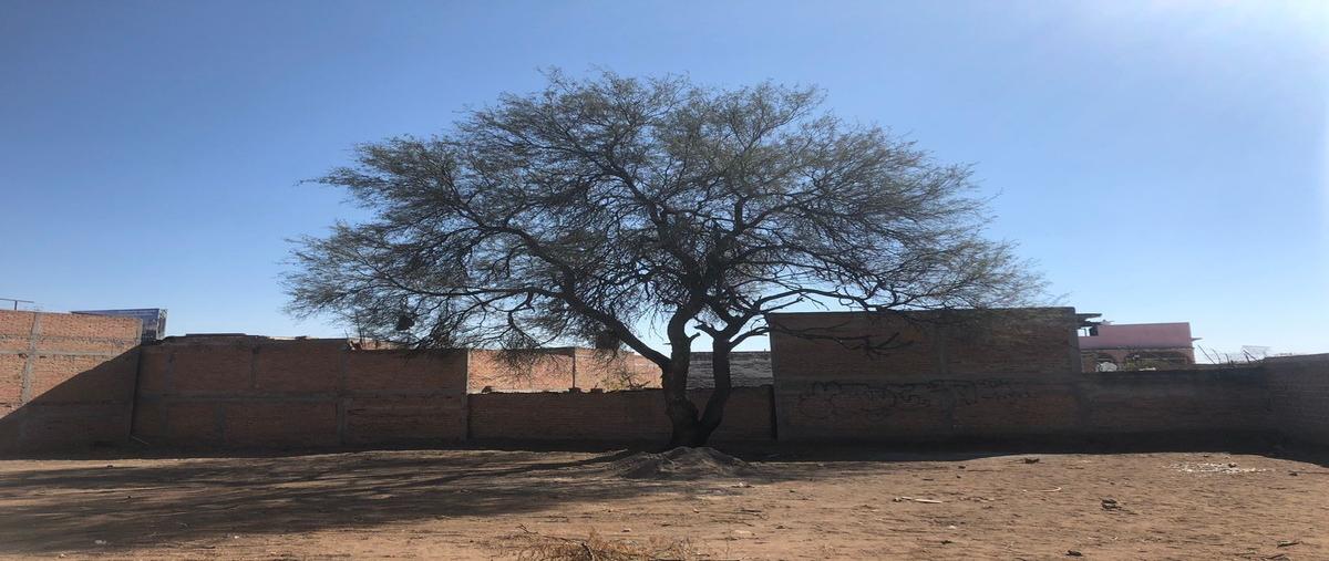 Foto de terreno habitacional en , jesús gómez portugal, aguascalientes, aguascalientes, 25921303 foto 04 Foto de terreno habitacional en renta en , jesús gómez portugal, aguascalientes, aguascalientes, 25921303 No. 04
