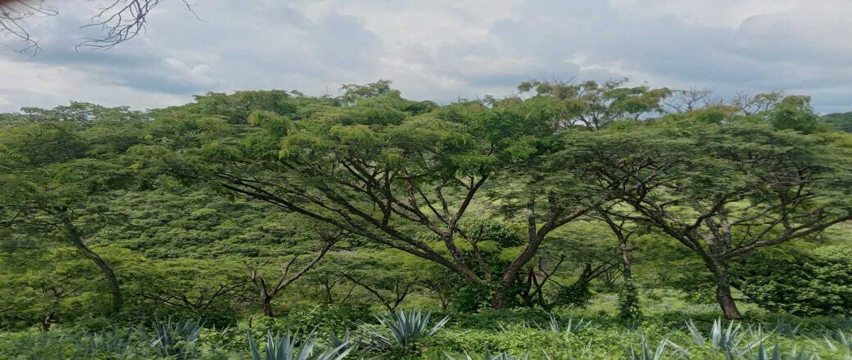 Foto de terreno habitacional en venta en  , jesús maria, jesús maría, jalisco, 0 No. 03