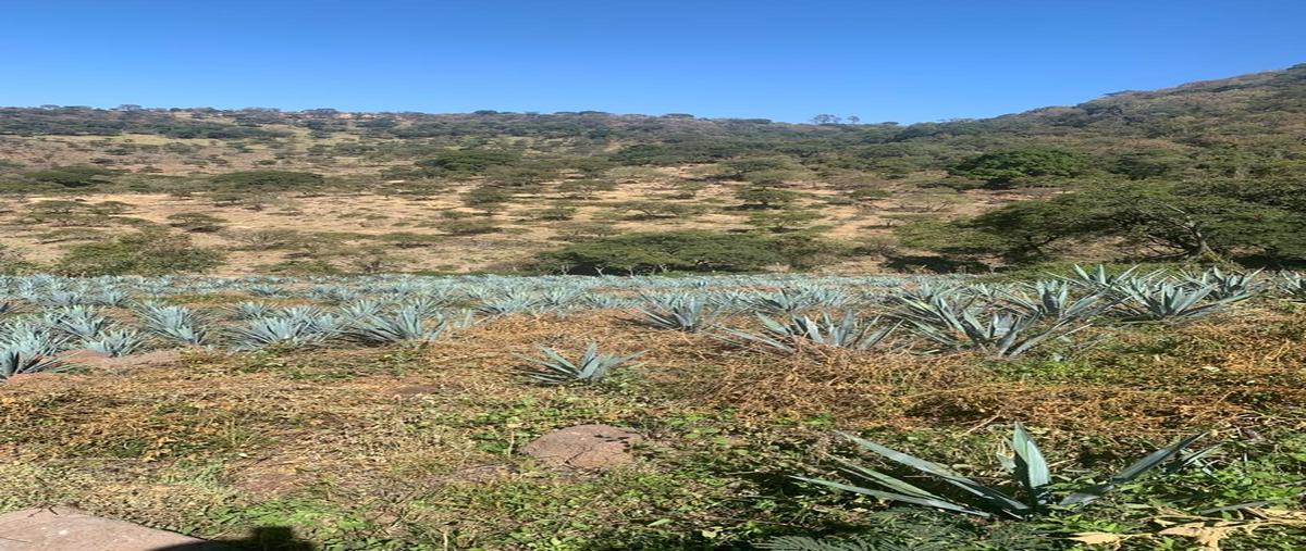 Foto de terreno habitacional en venta en  , jesús maria, jesús maría, jalisco, 0 No. 04