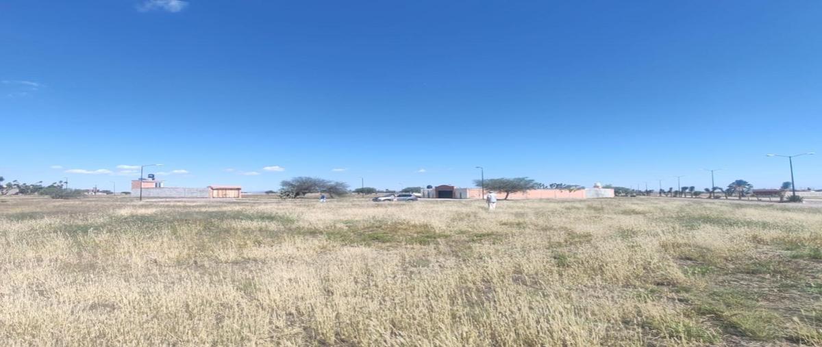 Foto de terreno habitacional en venta en  , jesús maría, villa de reyes, san luis potosí, 0 No. 03