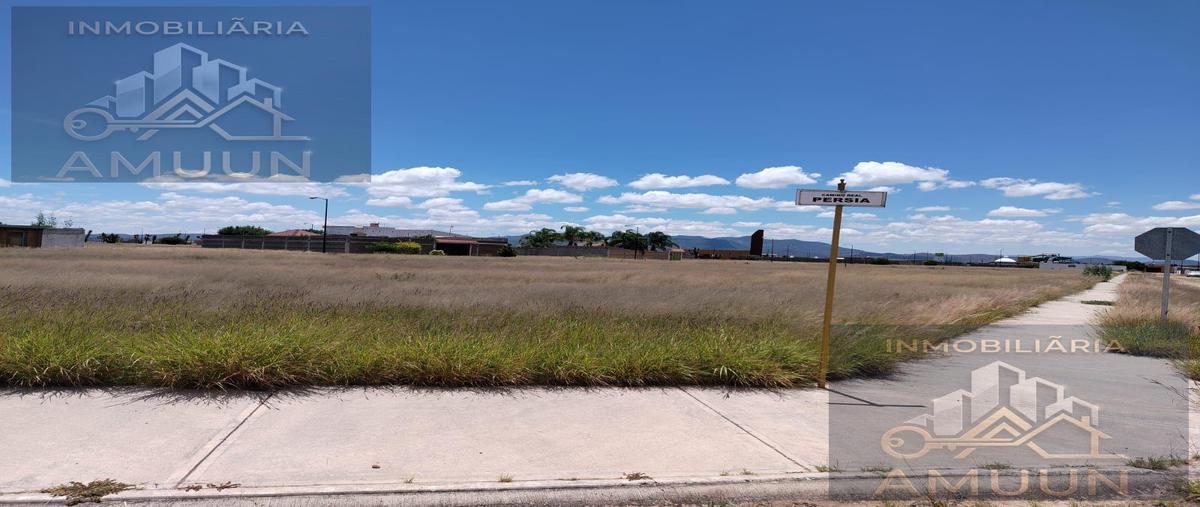 Foto de terreno habitacional en venta en  , jesús maría, villa de reyes, san luis potosí, 0 No. 04