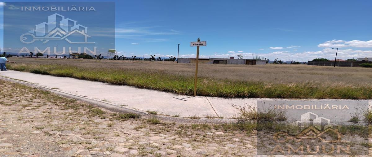 Foto de terreno habitacional en venta en  , jesús maría, villa de reyes, san luis potosí, 0 No. 05