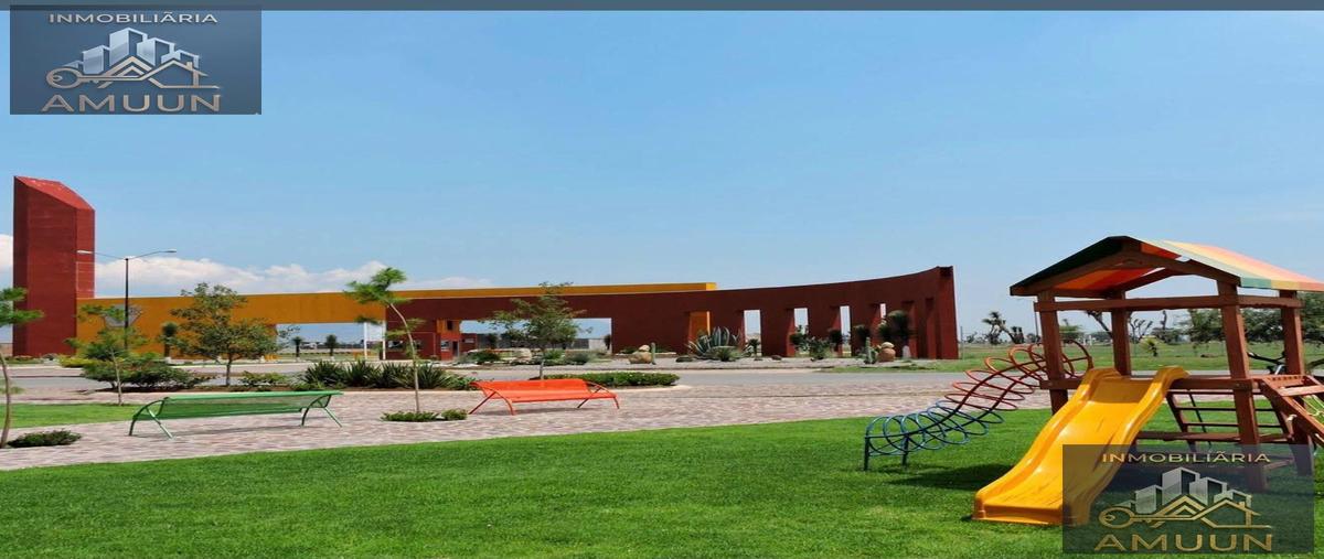 Foto de terreno habitacional en venta en  , jesús maría, villa de reyes, san luis potosí, 0 No. 03