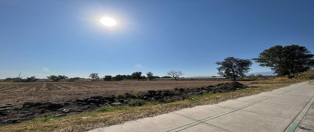 Foto de terreno habitacional en venta en jesus michel gonzalez , jardines de san sebastián, tlajomulco de zúñiga, jalisco, 26195913 No. 04