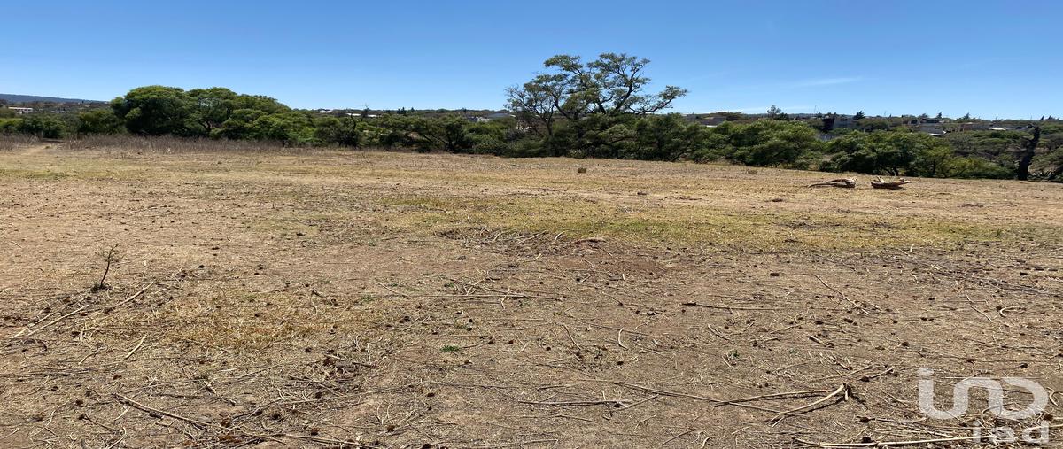 Foto de terreno habitacional en venta en jesús valencia , puente de la paz, cuautepec de hinojosa, hidalgo, 0 No. 04