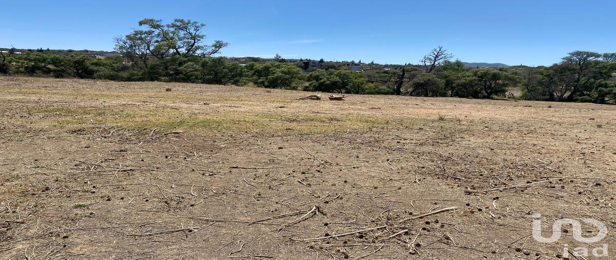 Foto de terreno habitacional en venta en jesús valencia , puente de la paz, cuautepec de hinojosa, hidalgo, 0 No. 05