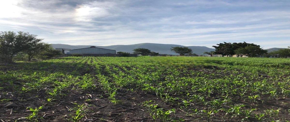 Foto de terreno habitacional en , jicamán (colonia el mirador), cuautla, morelos, 31048706 foto 01 Foto de terreno habitacional en venta en , jicamán (colonia el mirador), cuautla, morelos, 31048706 No. 01