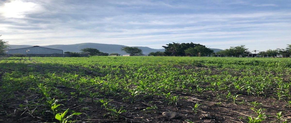 Foto de terreno habitacional en , jicamán (colonia el mirador), cuautla, morelos, 31048706 foto 02 Foto de terreno habitacional en venta en , jicamán (colonia el mirador), cuautla, morelos, 31048706 No. 02