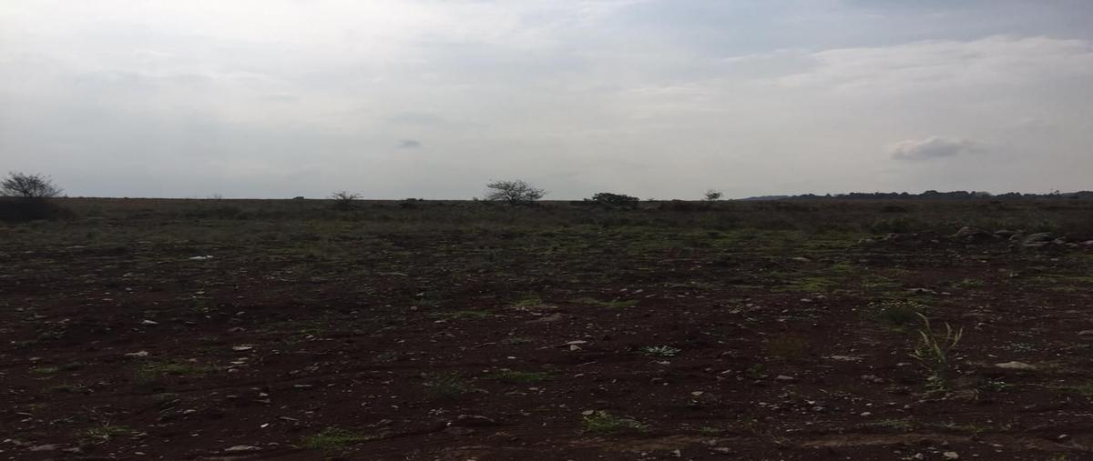 Foto de terreno habitacional en venta en  , jilotepec de molina enríquez, jilotepec, méxico, 0 No. 03