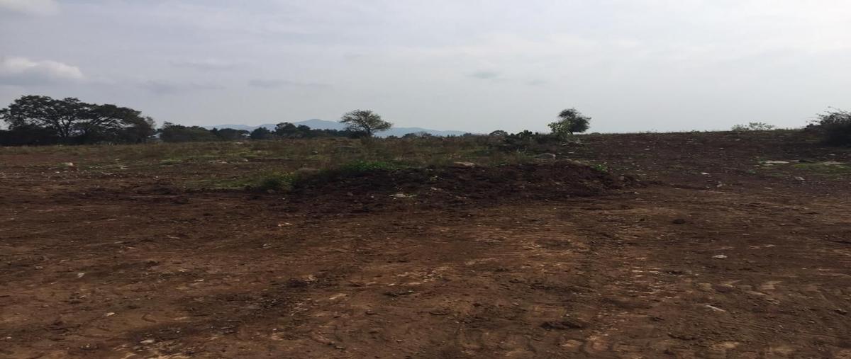 Foto de terreno habitacional en venta en  , jilotepec de molina enríquez, jilotepec, méxico, 0 No. 04