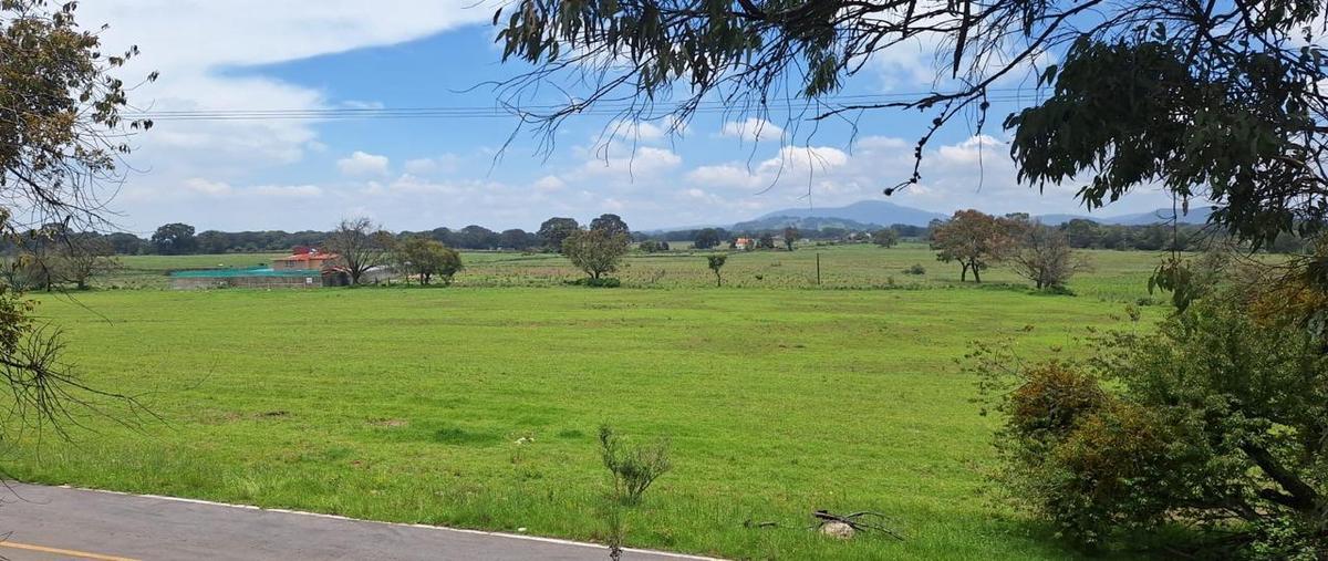 Foto de terreno habitacional en venta en  , jilotepec de molina enríquez, jilotepec, méxico, 0 No. 03