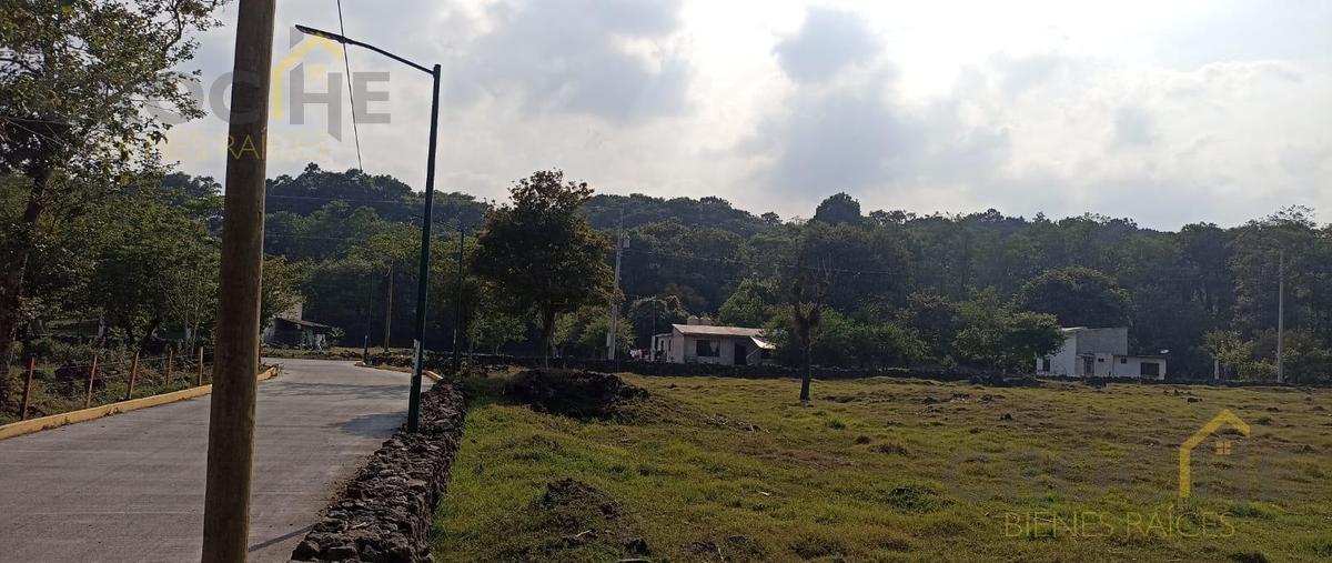 Foto de terreno habitacional en , jilotepec, jilotepec, veracruz de ignacio de la llave, 0 foto 01 Foto de terreno habitacional en venta en , jilotepec, jilotepec, veracruz de ignacio de la llave, 0 No. 01