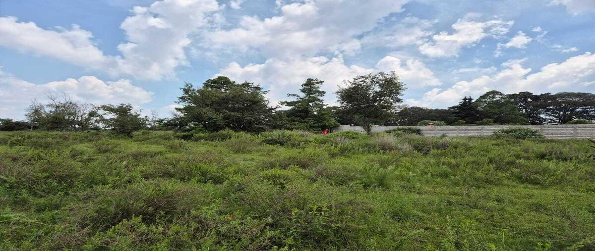 Foto de terreno habitacional en venta en  , jilotepec, jilotepec, veracruz de ignacio de la llave, 30169095 No. 05
